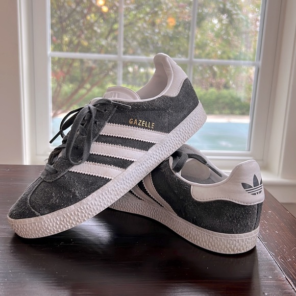 gazelle ortholite